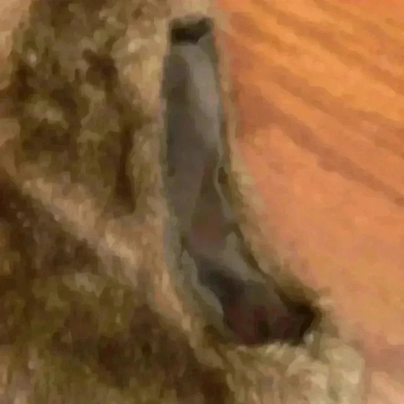 Faux Fur Vest size Medium - Picture 5 of 8